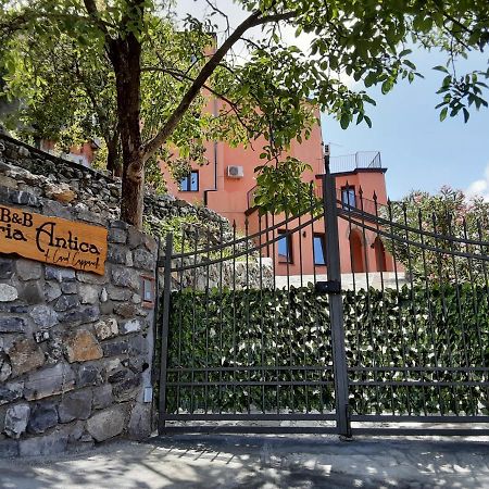 B&B Aria Antica Verbicaro Eksteriør billede